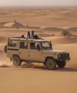 Safari Ausflüge