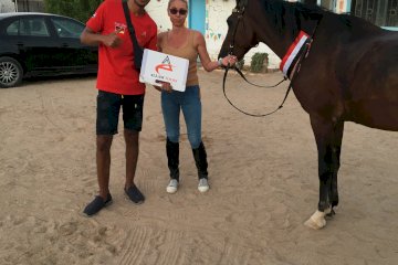 Pferde Reiten Ausflug
