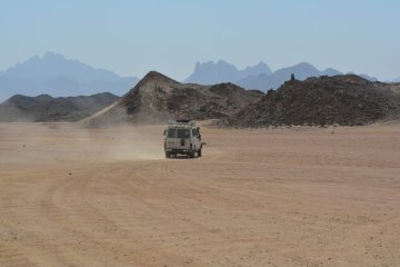Super Safari